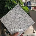 延安 芝麻白荔枝面干挂