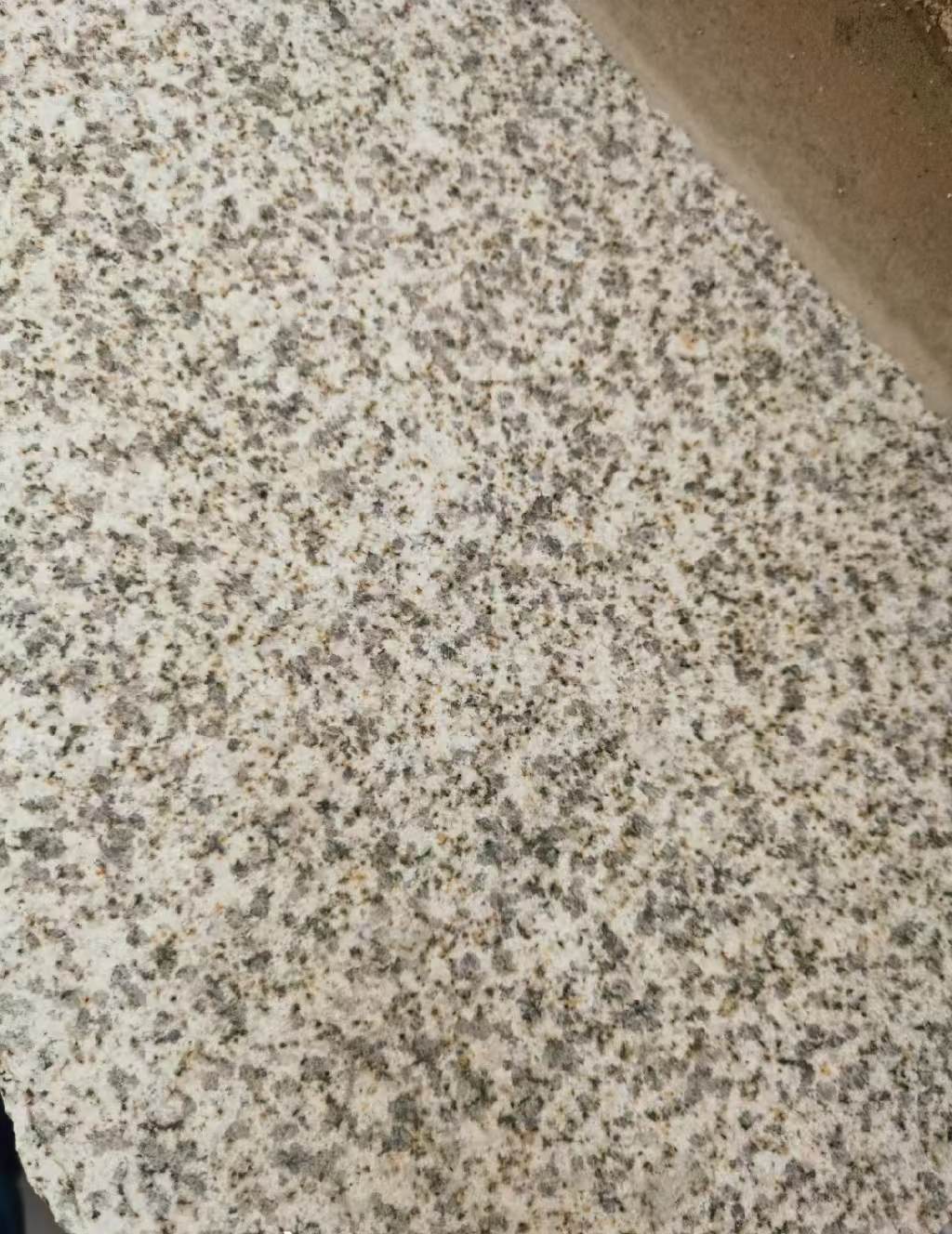 延安 黄金麻中黄光面