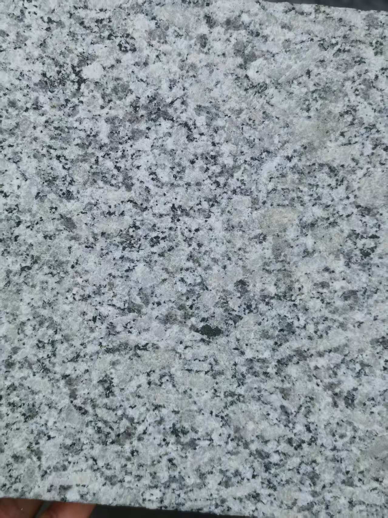 延安 芙蓉白火烧面